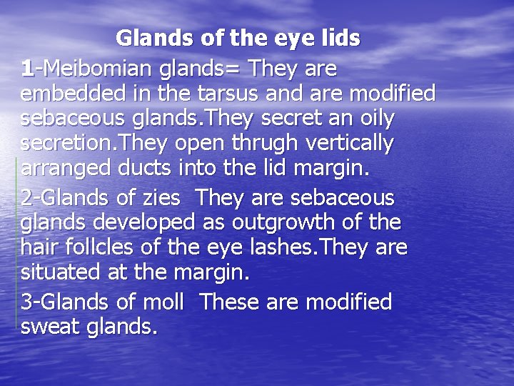 Glands of the eye lids 1 -Meibomian glands= They are embedded in the tarsus