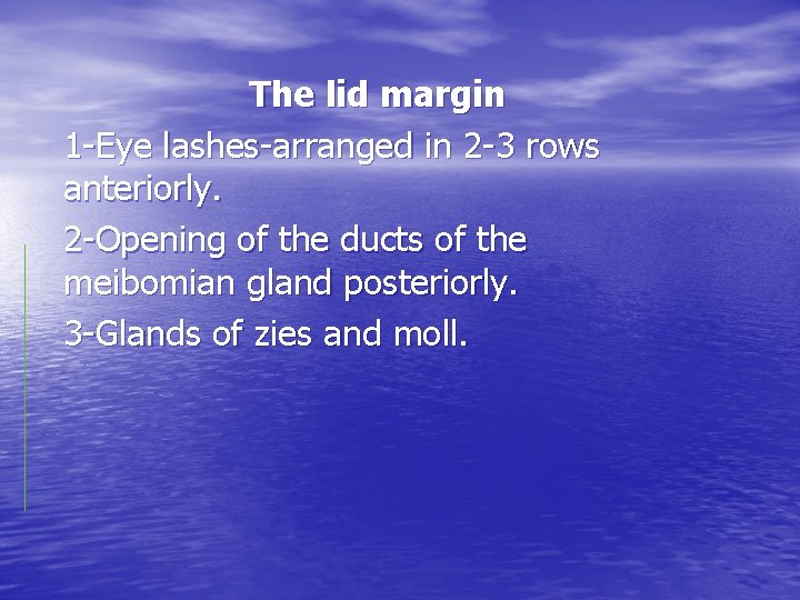 The lid margin 1 -Eye lashes-arranged in 2 -3 rows anteriorly. 2 -Opening of