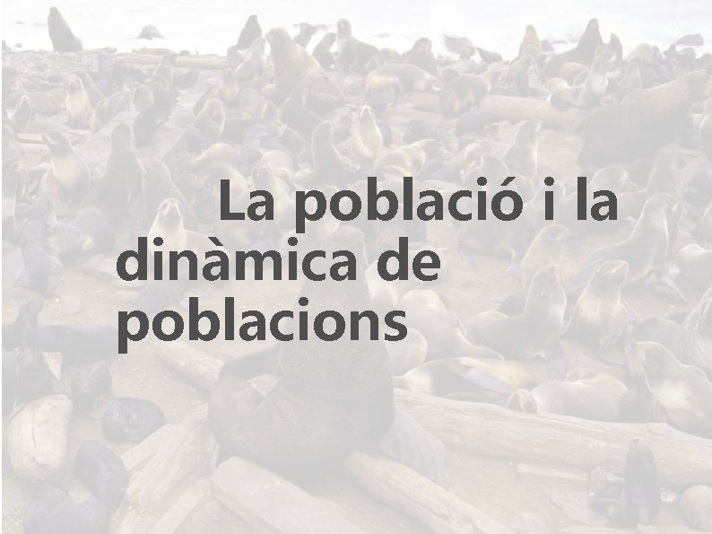 La població i la dinàmica de poblacions 
