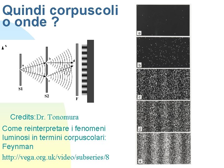 Quindi corpuscoli o onde ? Credits: Dr. Tonomura Come reinterpretare i fenomeni luminosi in