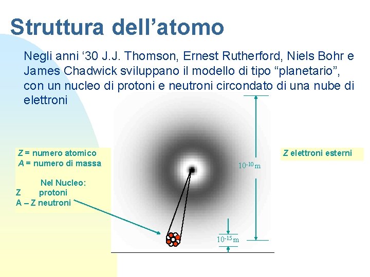 Struttura dell’atomo Negli anni ‘ 30 J. J. Thomson, Ernest Rutherford, Niels Bohr e