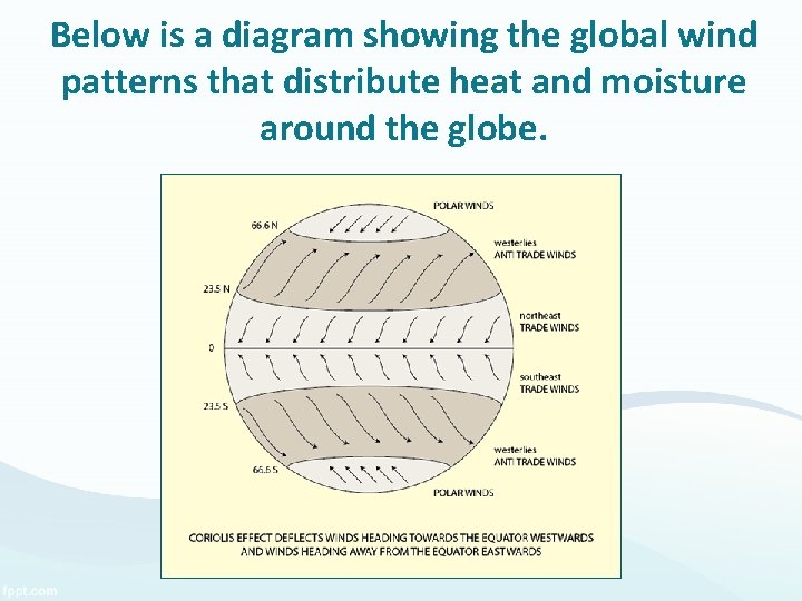 Below is a diagram showing the global wind patterns that distribute heat and moisture Below is a diagram showing the global wind patterns that distribute heat and moisture