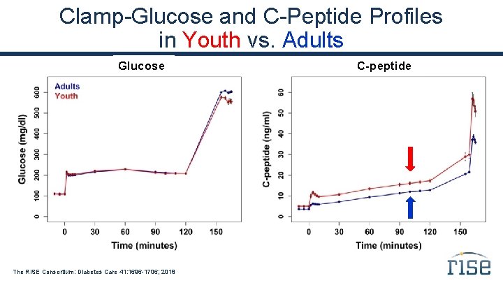 Clamp-Glucose and C-Peptide Profiles in Youth vs. Adults Glucose The RISE Consortium: Diabetes Care