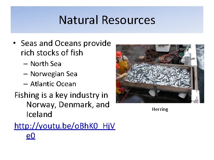 Natural Resources • Seas and Oceans provide rich stocks of fish – North Sea