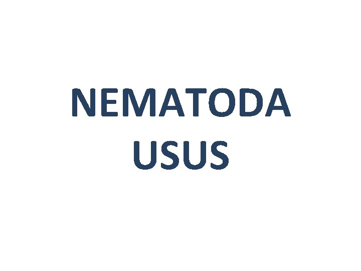 NEMATODA USUS 