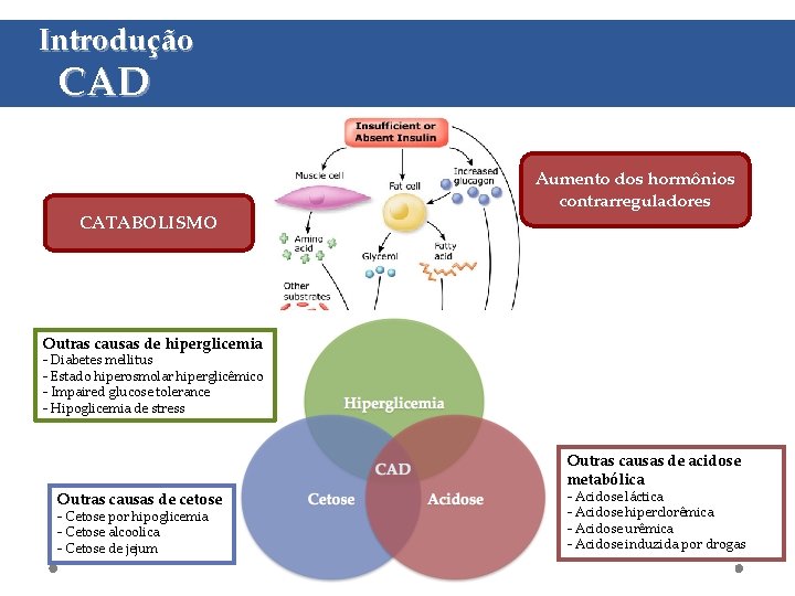 Introdução CAD CATABOLISMO Aumento dos hormônios contrarreguladores Outras causas de hiperglicemia - Diabetes mellitus
