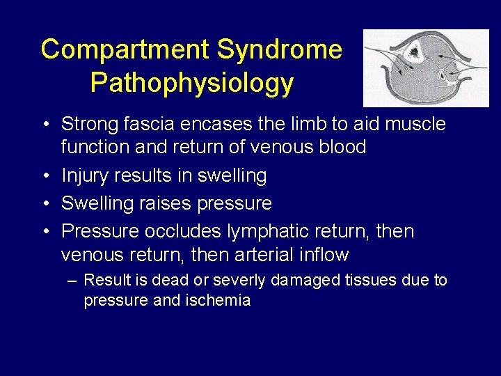 Compartment Syndrome Pathophysiology • Strong fascia encases the limb to aid muscle function and