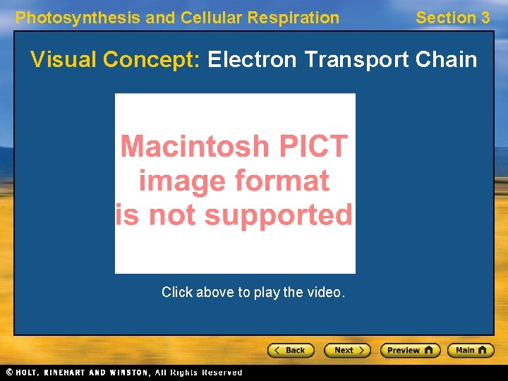 Photosynthesis and Cellular Respiration Section 3 Visual Concept: Electron Transport Chain Click above to
