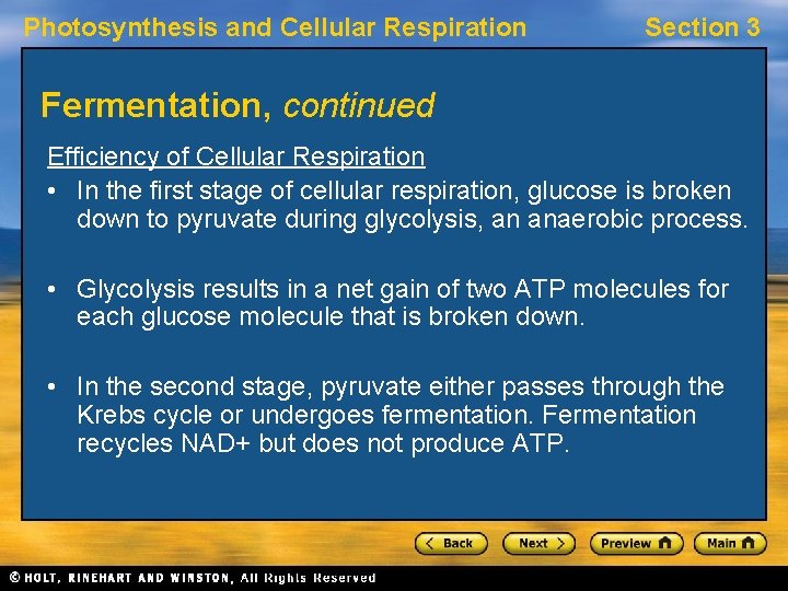 Photosynthesis and Cellular Respiration Section 3 Fermentation, continued Efficiency of Cellular Respiration • In