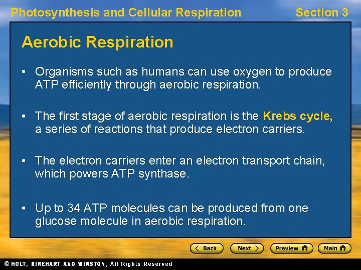 Photosynthesis and Cellular Respiration Section 3 Aerobic Respiration • Organisms such as humans can