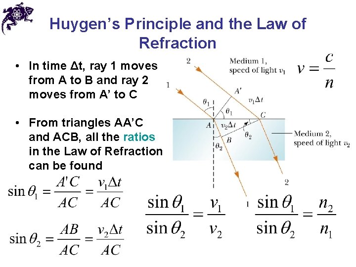 Huygen’s Principle and the Law of Refraction • In time Δt, ray 1 moves