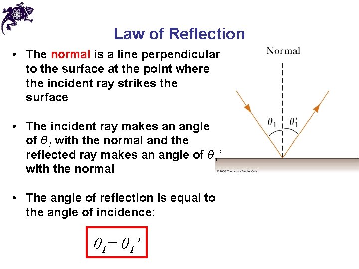 Law of Reflection • The normal is a line perpendicular to the surface at
