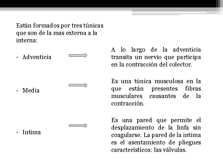 Están formados por tres túnicas que son de la mas externa a la interna: