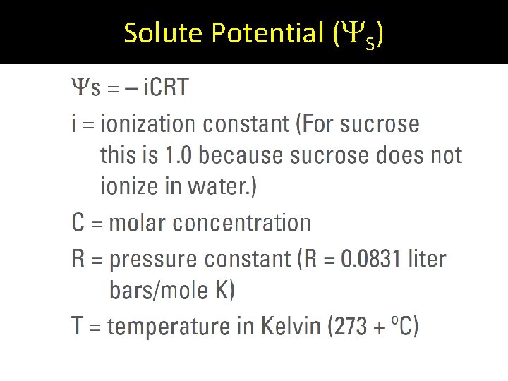 Solute Potential ( S) 