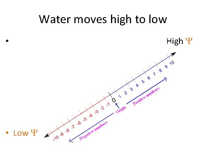 Water moves high to low • • Low High 