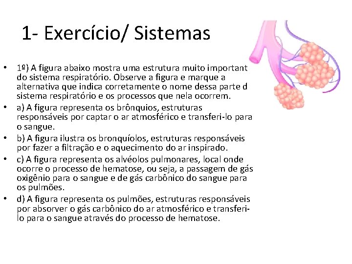 1 - Exercício/ Sistemas • 1º) A figura abaixo mostra uma estrutura muito importante 1 - Exercício/ Sistemas • 1º) A figura abaixo mostra uma estrutura muito importante