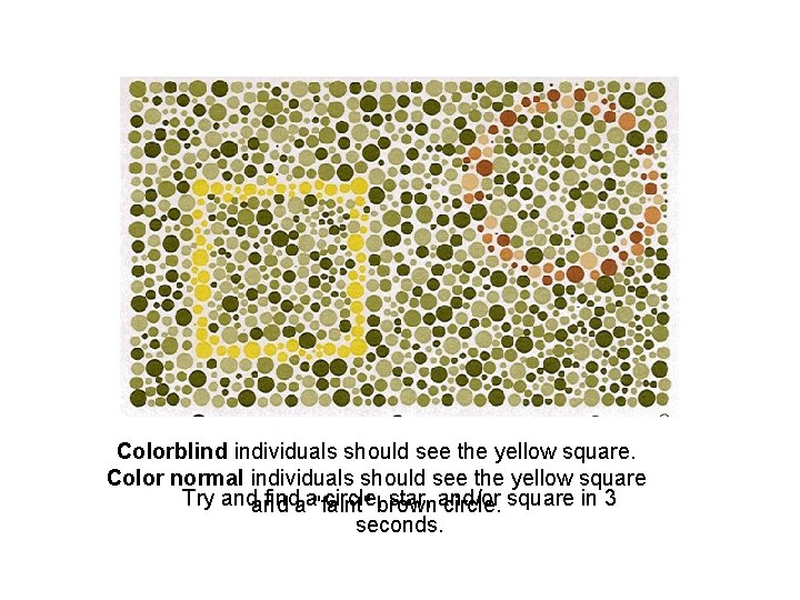 Colorblind individuals should see the yellow square. Color normal individuals should see the yellow