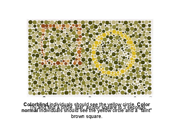 Colorblind individuals should see the yellow circle. Color Try and find a circle, star,