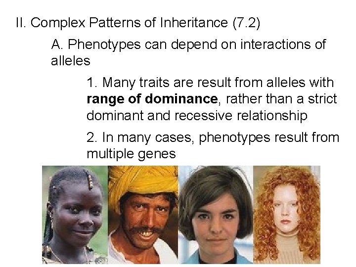 II. Complex Patterns of Inheritance (7. 2) A. Phenotypes can depend on interactions of