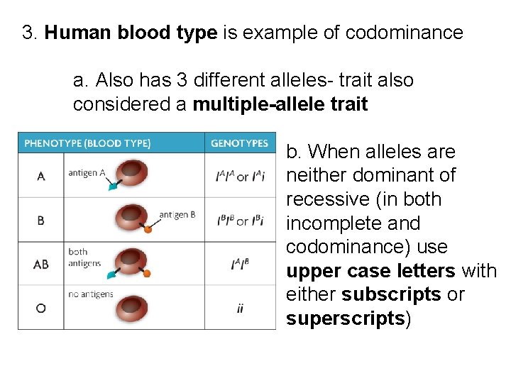 3. Human blood type is example of codominance a. Also has 3 different alleles-