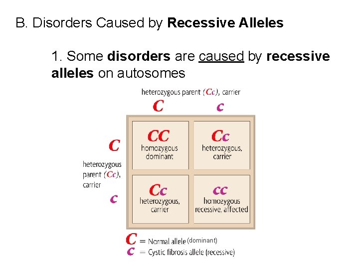 B. Disorders Caused by Recessive Alleles 1. Some disorders are caused by recessive alleles