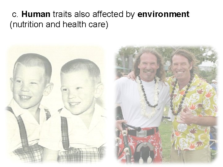  c. Human traits also affected by environment (nutrition and health care) 
