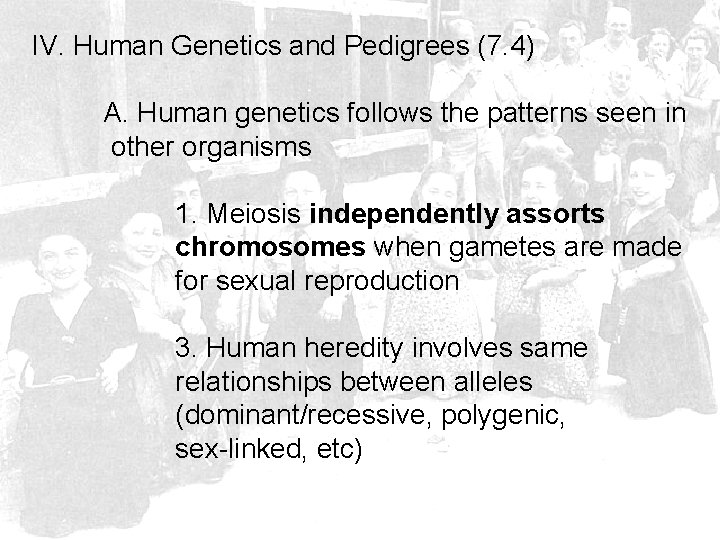 IV. Human Genetics and Pedigrees (7. 4) A. Human genetics follows the patterns seen