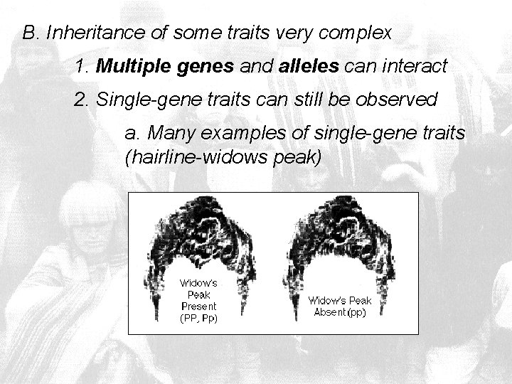 B. Inheritance of some traits very complex 1. Multiple genes and alleles can interact
