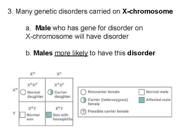 3. Many genetic disorders carried on X-chromosome a. Male who has gene for disorder