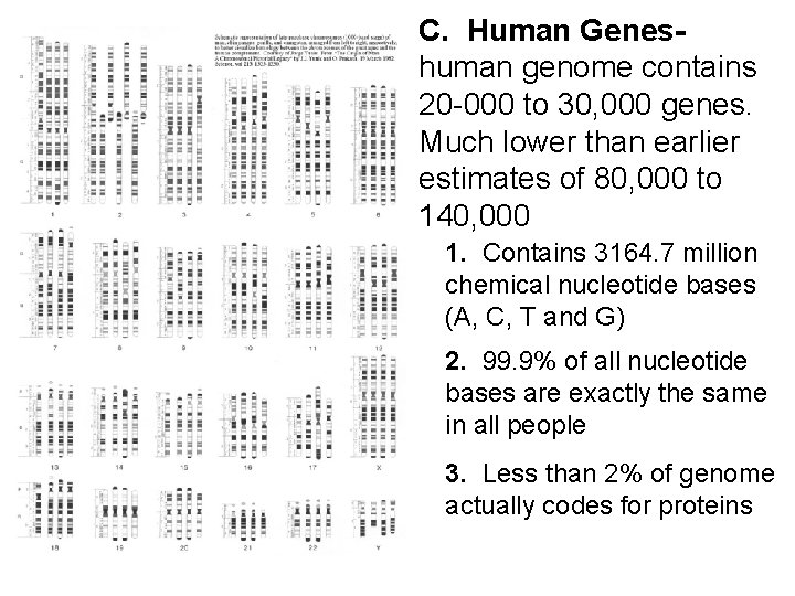 C. Human Geneshuman genome contains 20 -000 to 30, 000 genes. Much lower than