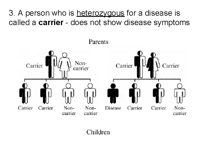 3. A person who is heterozygous for a disease is called a carrier -