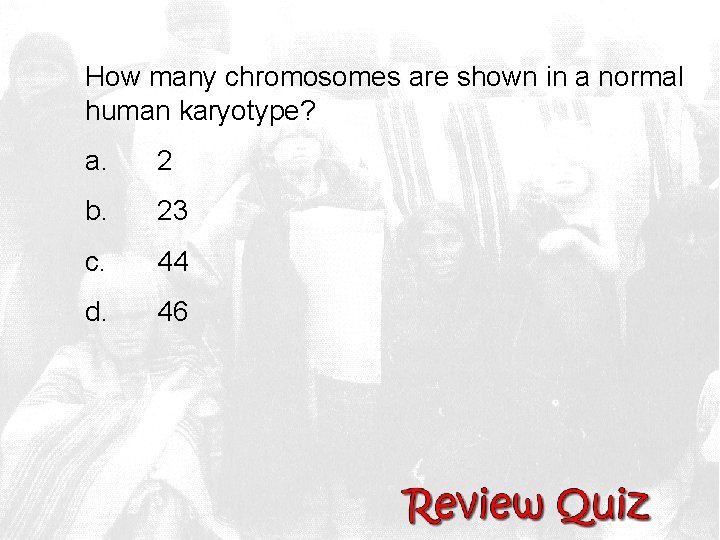 How many chromosomes are shown in a normal human karyotype? a. 2 b. 23