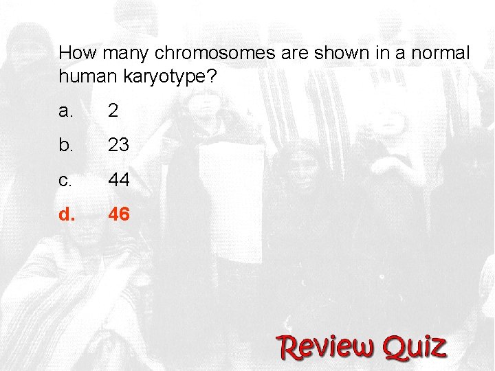 How many chromosomes are shown in a normal human karyotype? a. 2 b. 23