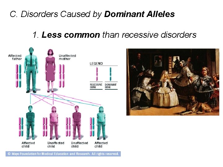 C. Disorders Caused by Dominant Alleles 1. Less common than recessive disorders 