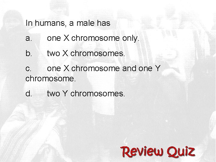 In humans, a male has a. one X chromosome only. b. two X chromosomes.