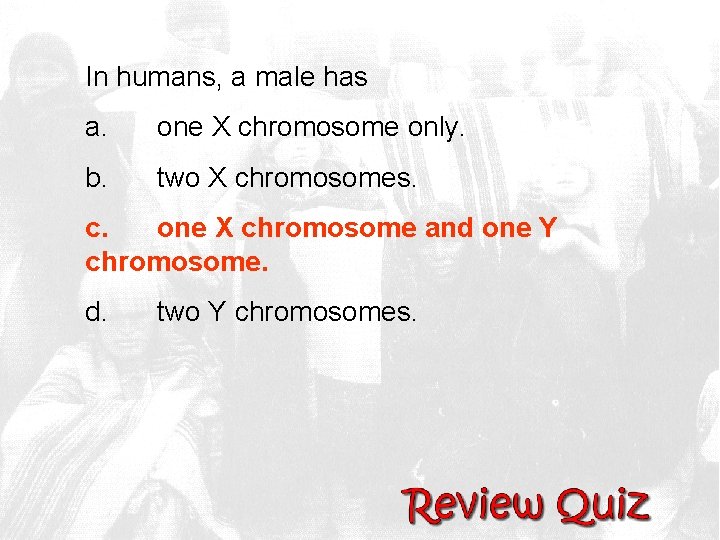 In humans, a male has a. one X chromosome only. b. two X chromosomes.