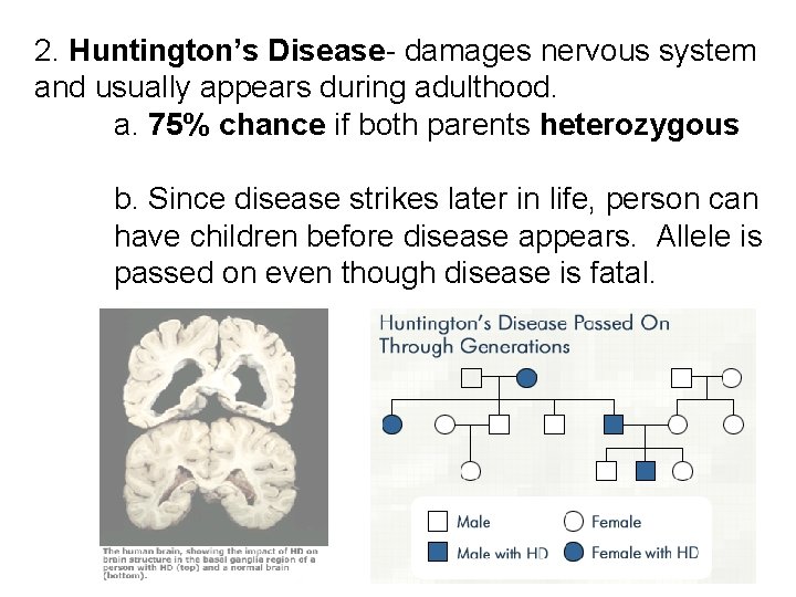 2. Huntington’s Disease- damages nervous system and usually appears during adulthood. a. 75% chance