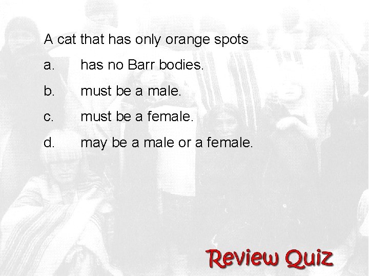 A cat that has only orange spots a. has no Barr bodies. b. must