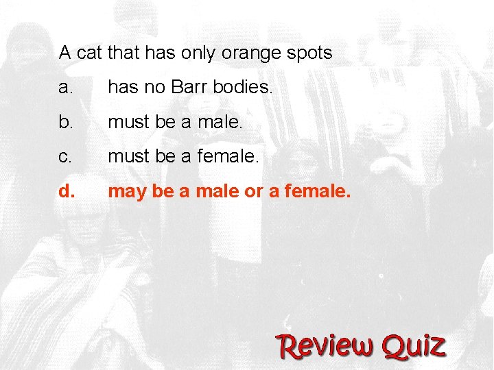 A cat that has only orange spots a. has no Barr bodies. b. must