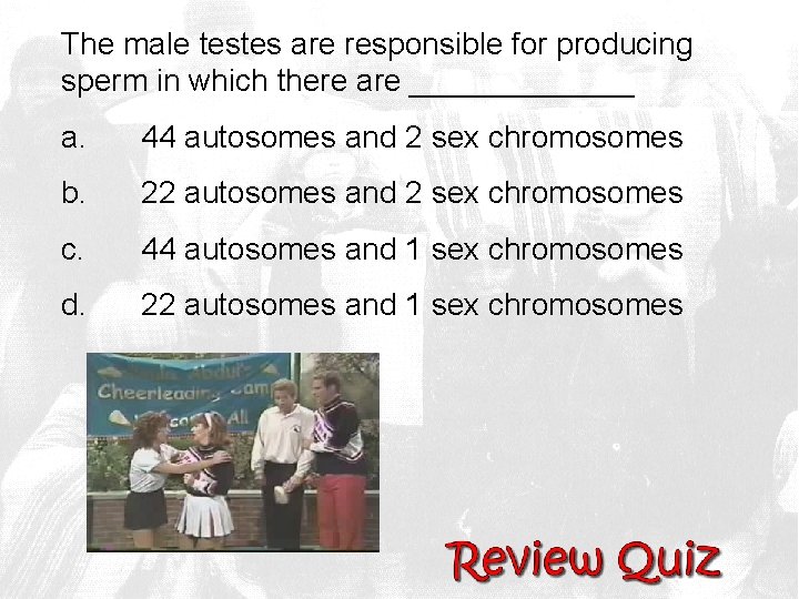 The male testes are responsible for producing sperm in which there are _______ a.