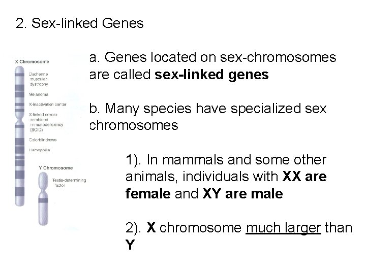 2. Sex-linked Genes a. Genes located on sex-chromosomes are called sex-linked genes b. Many