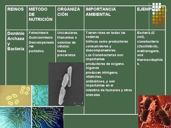 REINOS METODO DE NUTRICIÓN ORGANIZA CIÓN IMPORTANCIA AMBIENTAL EJEMPLOS Dominio Archaea y Bacteria Fotosíntesis