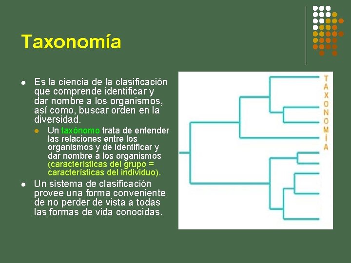 Taxonomía l Es la ciencia de la clasificación que comprende identificar y dar nombre