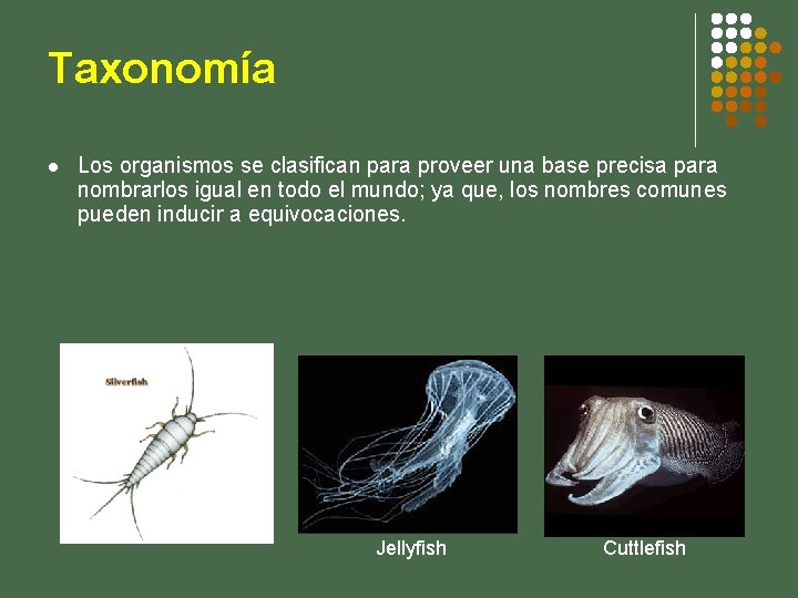 Taxonomía l Los organismos se clasifican para proveer una base precisa para nombrarlos igual