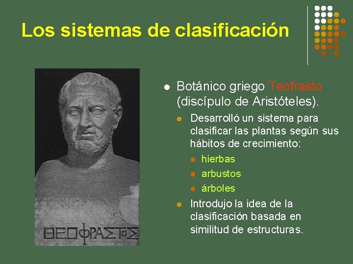 Los sistemas de clasificación l Botánico griego Teofrasto (discípulo de Aristóteles). l l Desarrolló