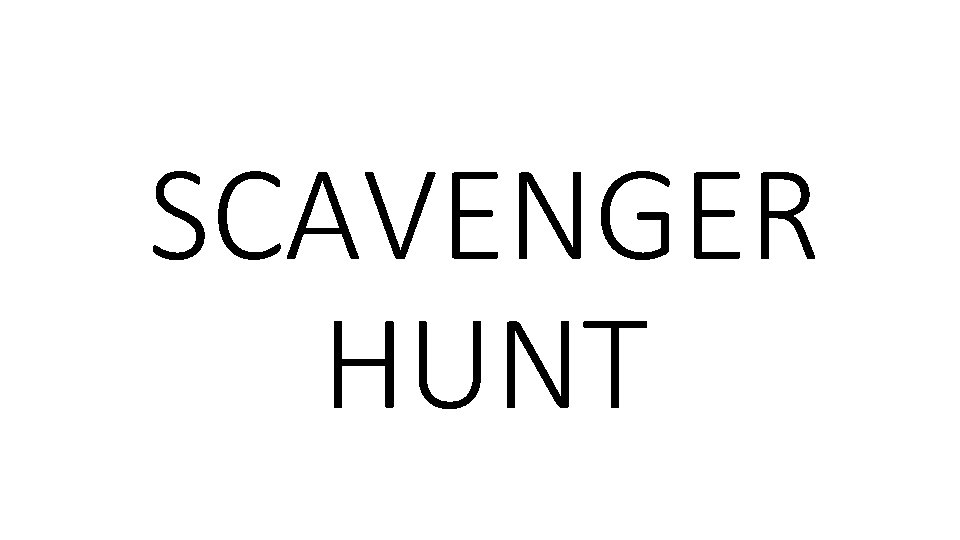 SCAVENGER HUNT SCAVENGER HUNT