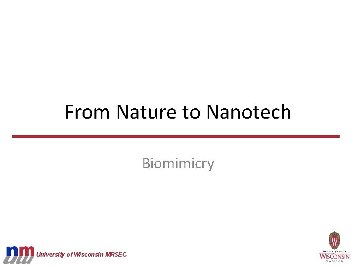 From Nature to Nanotech Biomimicry University of Wisconsin MRSEC 