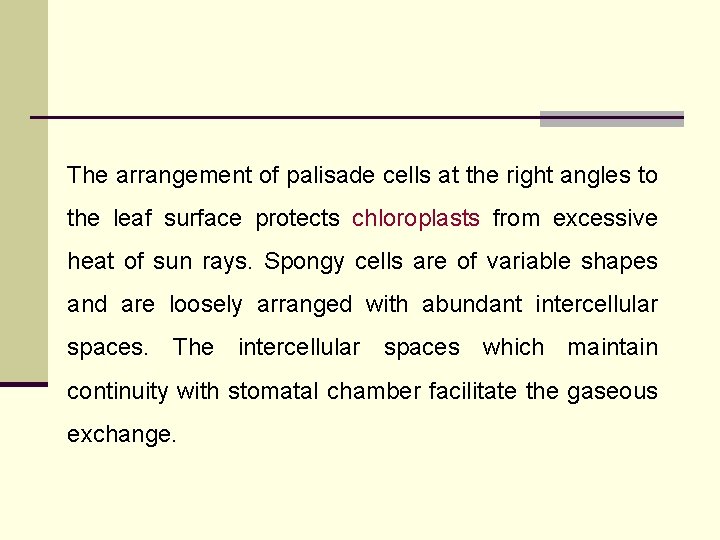 The arrangement of palisade cells at the right angles to the leaf surface protects