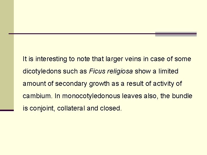 It is interesting to note that larger veins in case of some dicotyledons such