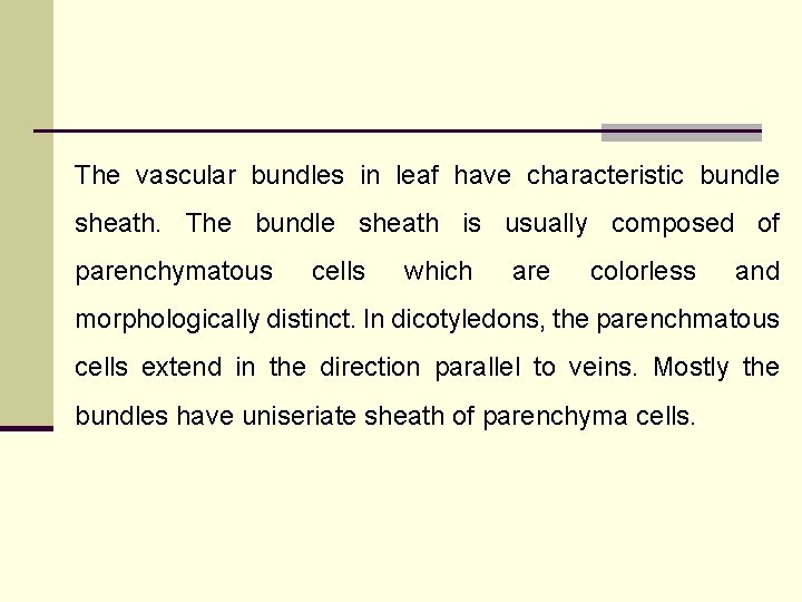 The vascular bundles in leaf have characteristic bundle sheath. The bundle sheath is usually